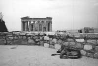 Dog at Parthenon